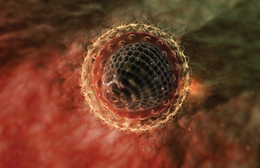 Illustration of the microscopic view of the hepatitis virus Photo by Photo Researchers Inc