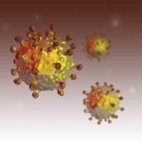 Illustration of a hepatitis C virus Illustration by Spencer Sutton slash Science Source