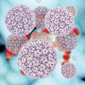 One explanation for slow uptake of HPV vaccination may lie in the time window for administration which overlaps the transition from pediatric to adult care The sexual component of the disease can ad