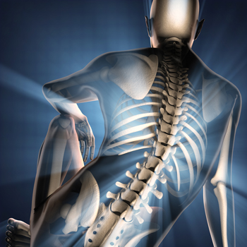 Data from SWAN have shown that during late perimenopause women began to experience accelerated bone loss in the spine and hip among other symptoms Photo by Thinkstock